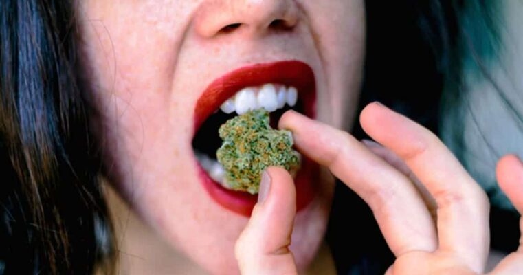 HOW TO CONSUME WEED SAFELY?