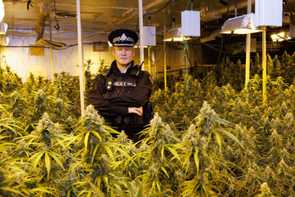 THE LEGAL STATUS OF CANNABIS EDIBLES IN THE UNITED KINGDOM
