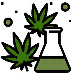 SPACE OIL